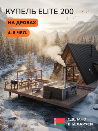 Купель на дровах Scandinaf Elite 200B, 4-6 чел., коричневый, AISI 316L, аэромассаж